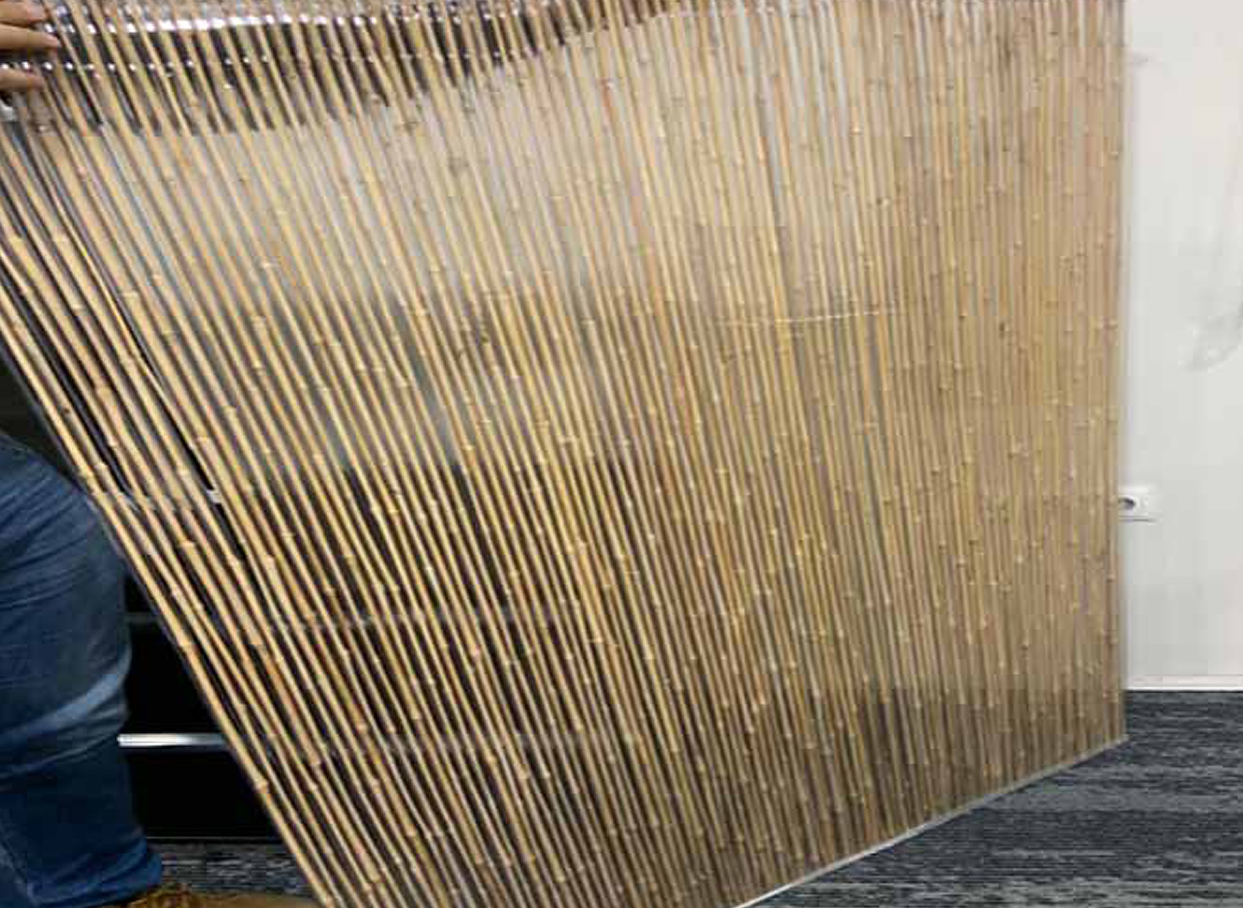 Poly Bamboo blog image 3