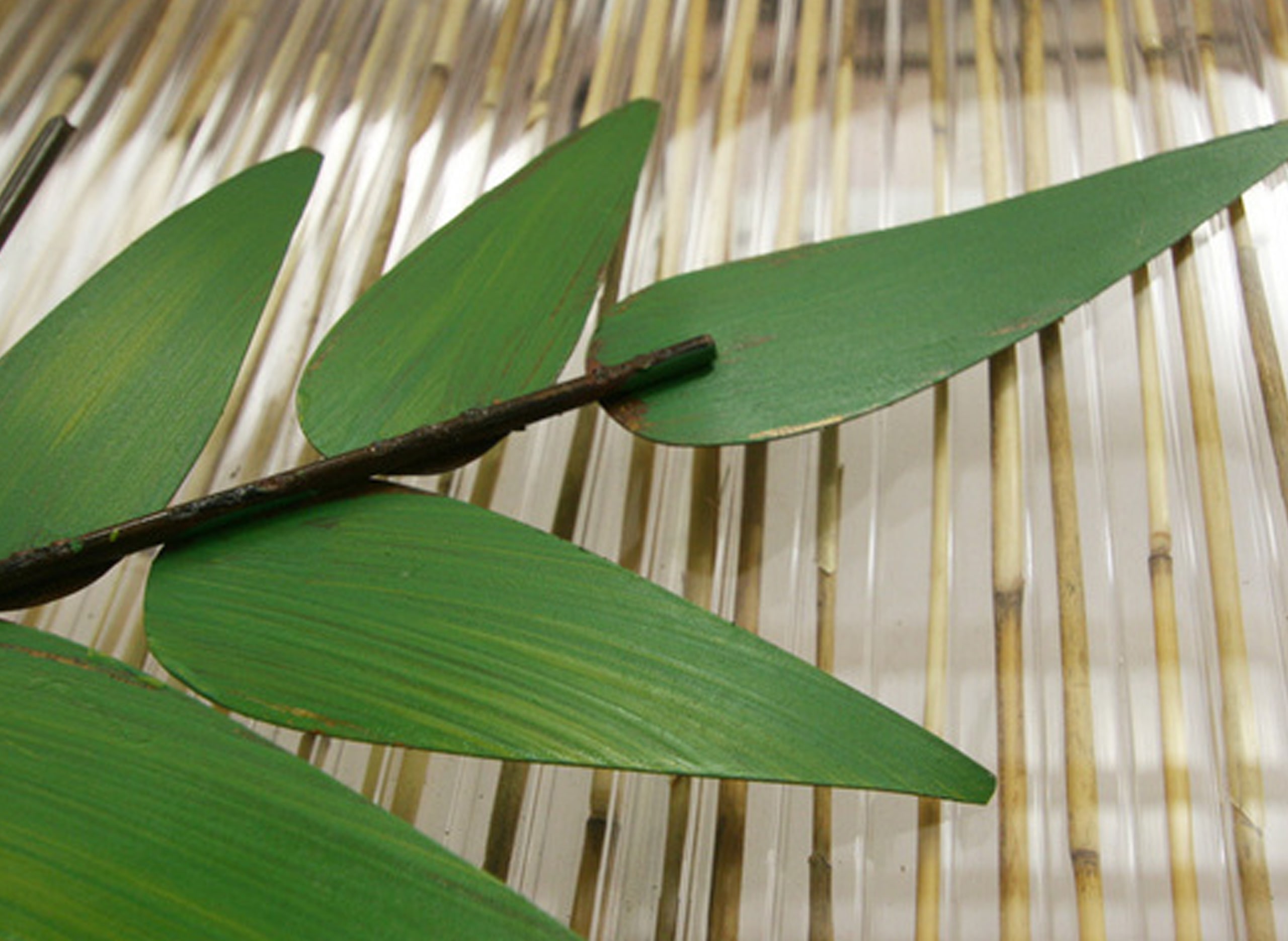 Poly Bamboo blog image 7