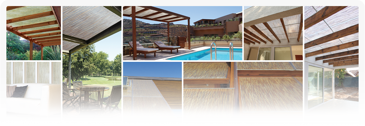 PolyBamboo-SPECIALIZING IN Bringing Nature Inside